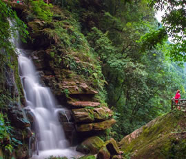 碧峰峽、上里古鎮(zhèn)二日游