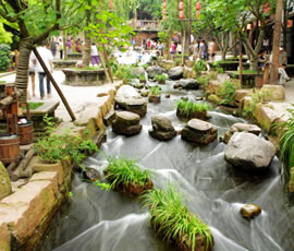 千年水碼頭、古鎮(zhèn)黃龍溪一日游