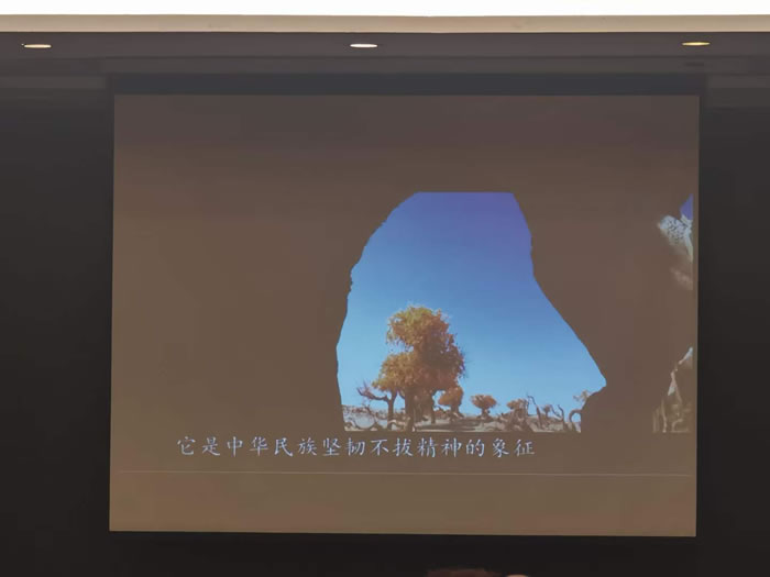 綿陽(yáng)中旅行假日旅行社舉行胡楊林、南疆專(zhuān)列推薦會(huì)