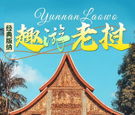 【趣游老撾 · 經(jīng)典版納】—昆明、普洱、西雙版納、磨丁、瑯勃拉邦四動8日游